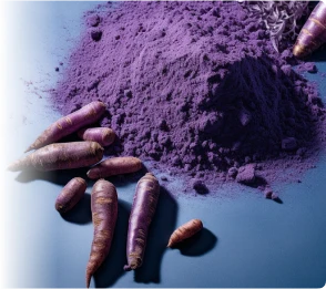 Fine purple powder (possibly a fruit extract or other active ingredient) next to brown capsules, representing the presentation form and one of the main components of the ProvaDent supplement.